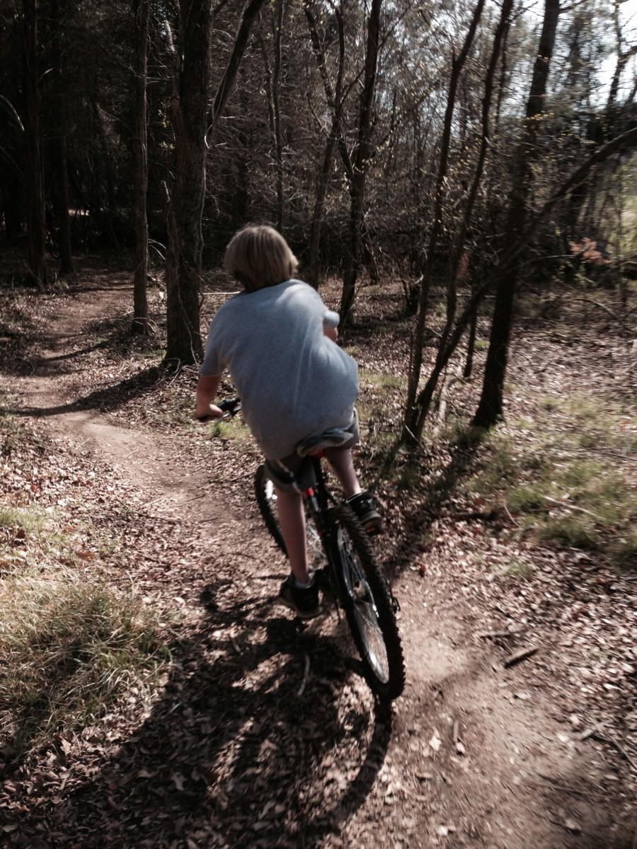 A person riding a mountain bike on a dirt path surrounded by trees, sunlight filtering through the branches, with fallen leaves scattered on the ground. Spadra Creek Nature Trail mountain bike trail.