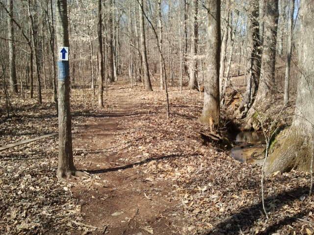A winding dirt path through a forest with bare trees and fallen leaves on the ground. A blue trail marker with an upward arrow is visible on a tree to the left, indicating the direction of the trail. A small stream is located to the right of the path. Hard Labor Creek State Park mountain bike trail.