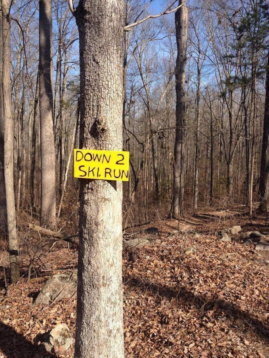 A tree in a wooded area with a bright yellow sign attached, reading "DOWN 2 SKI RUN." The scene features bare trees and a forest floor covered with brown leaves and scattered rocks, with a clear blue sky visible in the background. Rocky River Trail mountain bike trail.