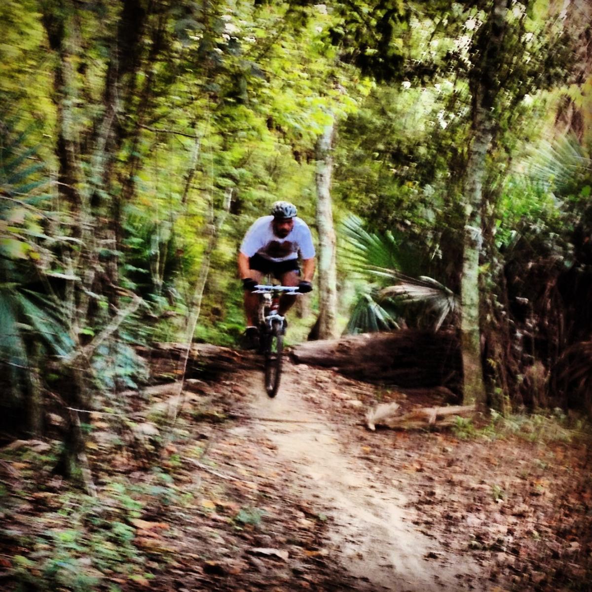 A mountain biker navigating a dirt trail in a lush, wooded area, with trees and greenery surrounding the path. The rider is airborne, having just jumped over a fallen log, demonstrating an action shot of mountain biking in nature. Bonnet Carre Spillway Trail mountain bike trail.