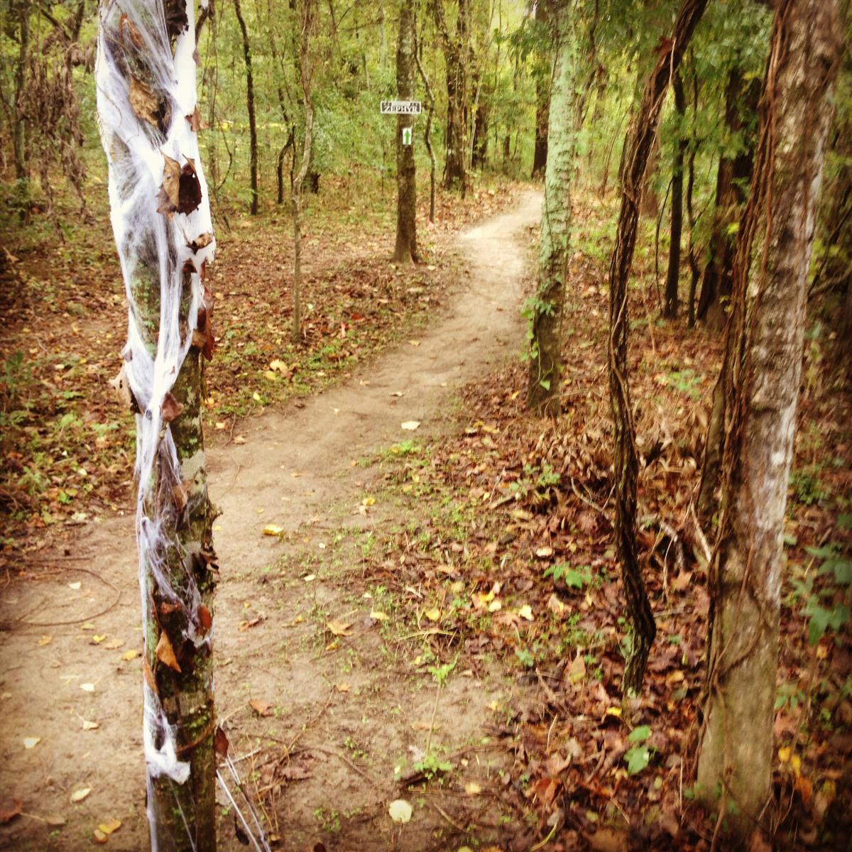 A winding dirt path through a wooded area, with a tree wrapped in fake cobwebs and scattered dead leaves. A sign is partially visible in the background along the trail, indicating the direction or name of the path. Bonnet Carre Spillway Trail mountain bike trail.