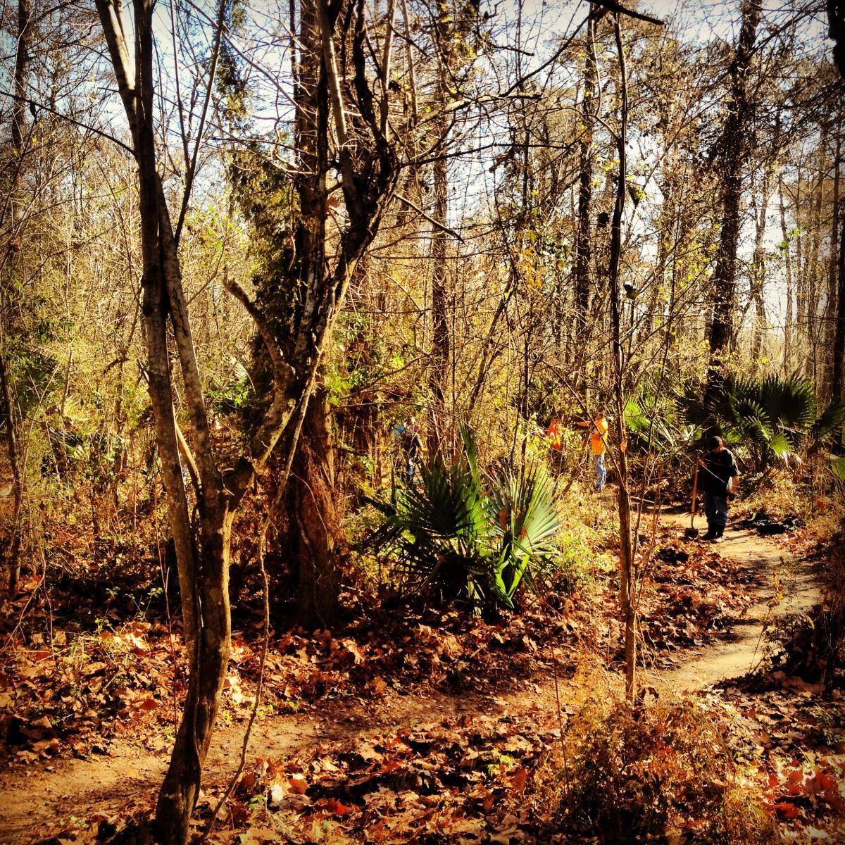 A winding dirt path through a forest, surrounded by tall trees and foliage. Dry leaves cover the ground, and a few hikers can be seen along the trail, engaging with the natural environment. Sunlight filters through the branches, creating a warm, inviting atmosphere. Bonnet Carre Spillway Trail mountain bike trail.