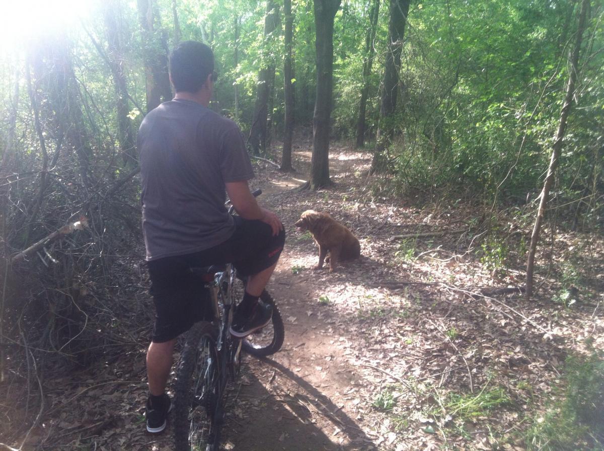 A person sitting on a mountain bike on a wooded trail, with a brown dog sitting nearby in the sunlight. The area is surrounded by dense trees and greenery, and the ground is covered with leaves. Spadra Creek Nature Trail mountain bike trail.
