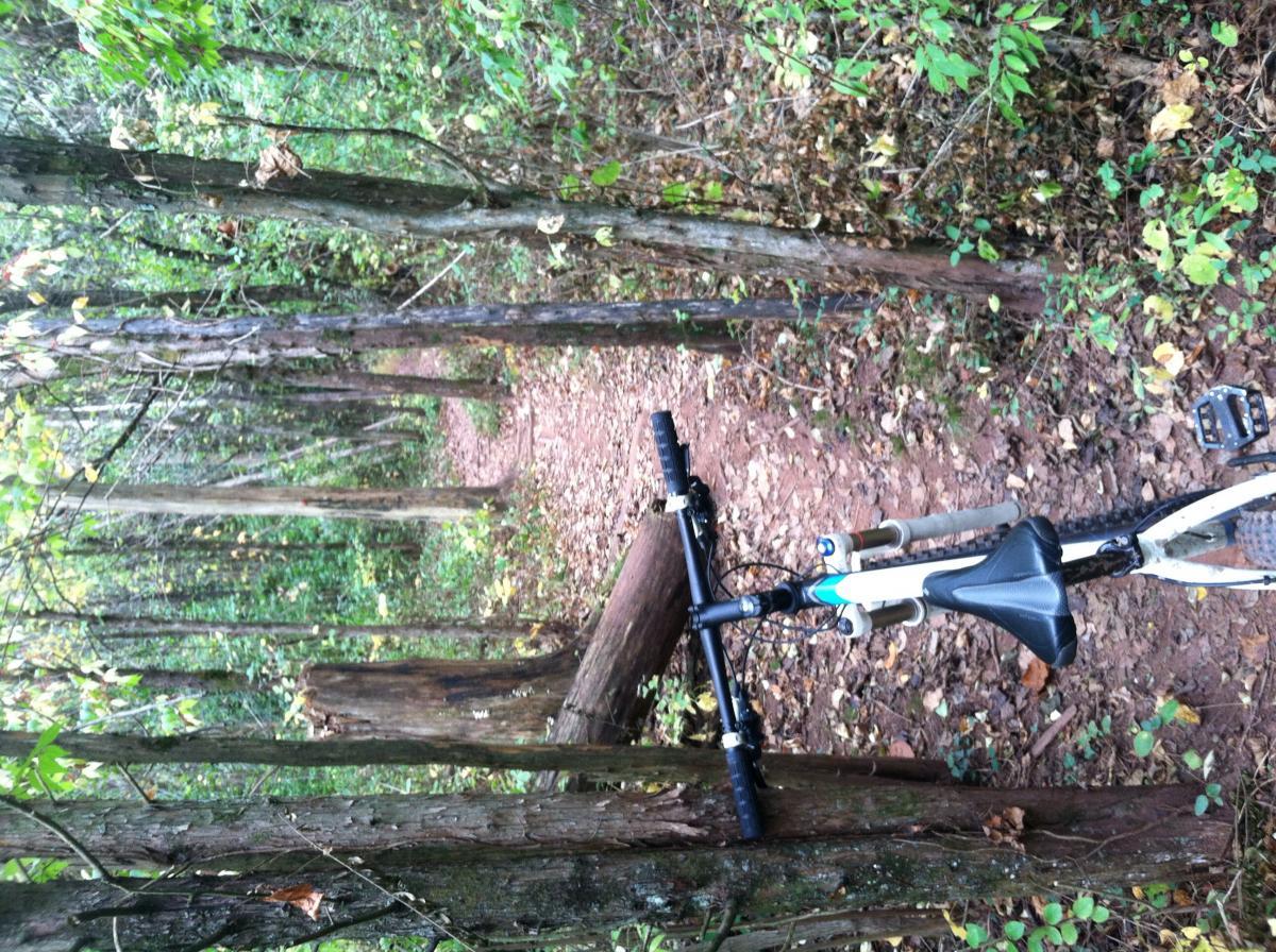 Trek X-Caliber: A mountain bike resting on a narrow dirt trail surrounded by tall trees and dense greenery, with fallen leaves scattered on the ground. The trail winds through the forest, visible in the background.