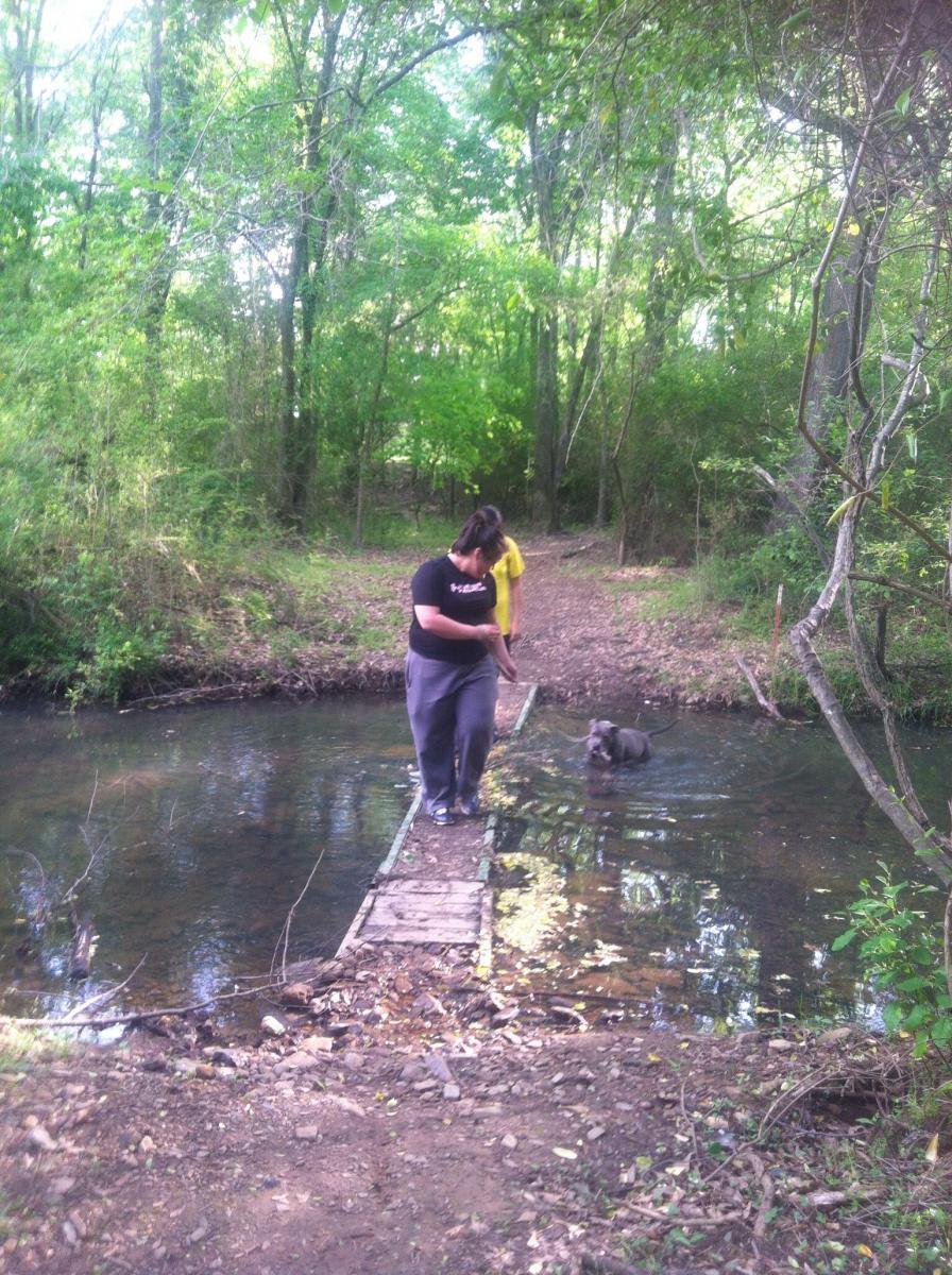 Two people on a wooden bridge over a shallow stream in a lush, green wooded area. One person is walking toward the camera while the other stands slightly behind, holding a stick. A dog is playing in the water beside the bridge. Sunlight filters through the trees, creating a serene and natural atmosphere. Spadra Creek Nature Trail mountain bike trail.