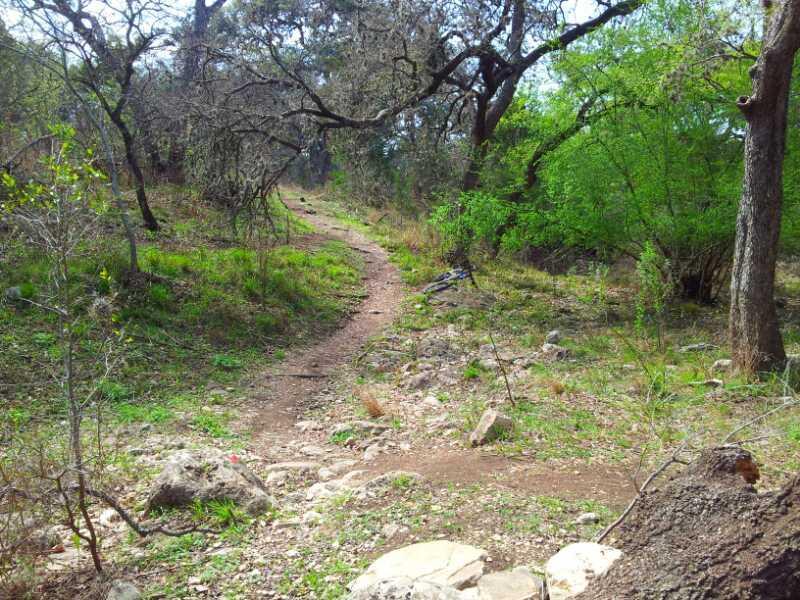 A narrow dirt path winding through a grassy area surrounded by trees, with a mix of bare branches and lush green foliage. Small rocks are scattered along the path, and the scene conveys a tranquil, natural environment. Salado Creek mountain bike trail.