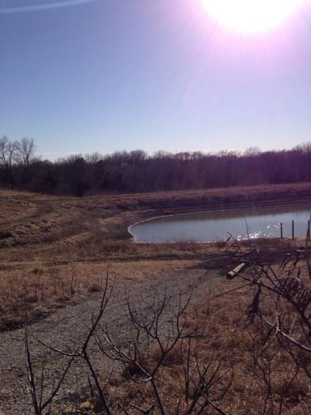 A serene landscape featuring a clear pond surrounded by bare trees and a grassy shoreline under a clear blue sky. The sun shines brightly in the top right corner, casting a warm glow on the scene. Camp Alexander Trails mountain bike trail.