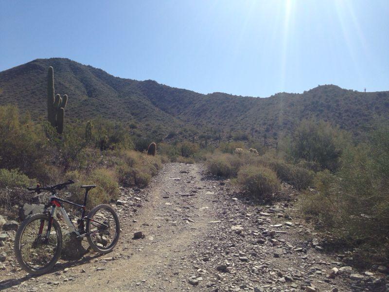 A mountain bike parked on a rocky dirt trail surrounded by desert vegetation, with cacti in the foreground and rolling hills in the background under a clear blue sky. Taliesin / Quartz Loop mountain bike trail.