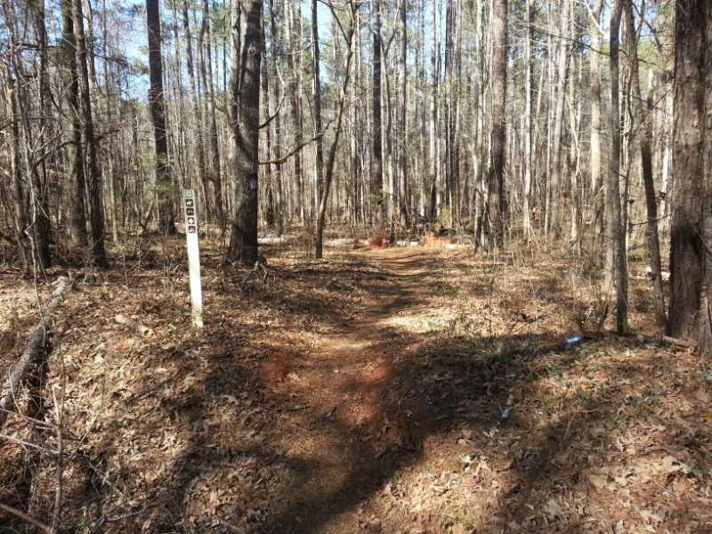 A dirt trail winding through a forest, surrounded by tall trees with sparse foliage. A trail marker is visible on the left side of the path, and the ground is covered with dry leaves and patches of bare soil. Parson