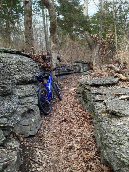 A narrow trail surrounded by rocky ledges, with a blue mountain bike leaning against one of the rock formations. The ground is covered in fallen leaves, and trees are visible in the background, indicating an outdoor woodland setting in early spring. Landahl Park Reserve mountain bike trail.