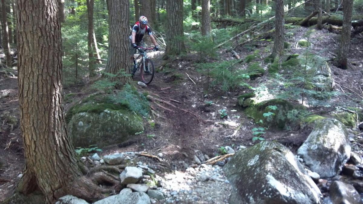 A mountain biker navigating a rugged trail through a densely wooded forest, surrounded by trees, rocks, and foliage. The biker is leaning forward and appears focused on the rocky terrain ahead.