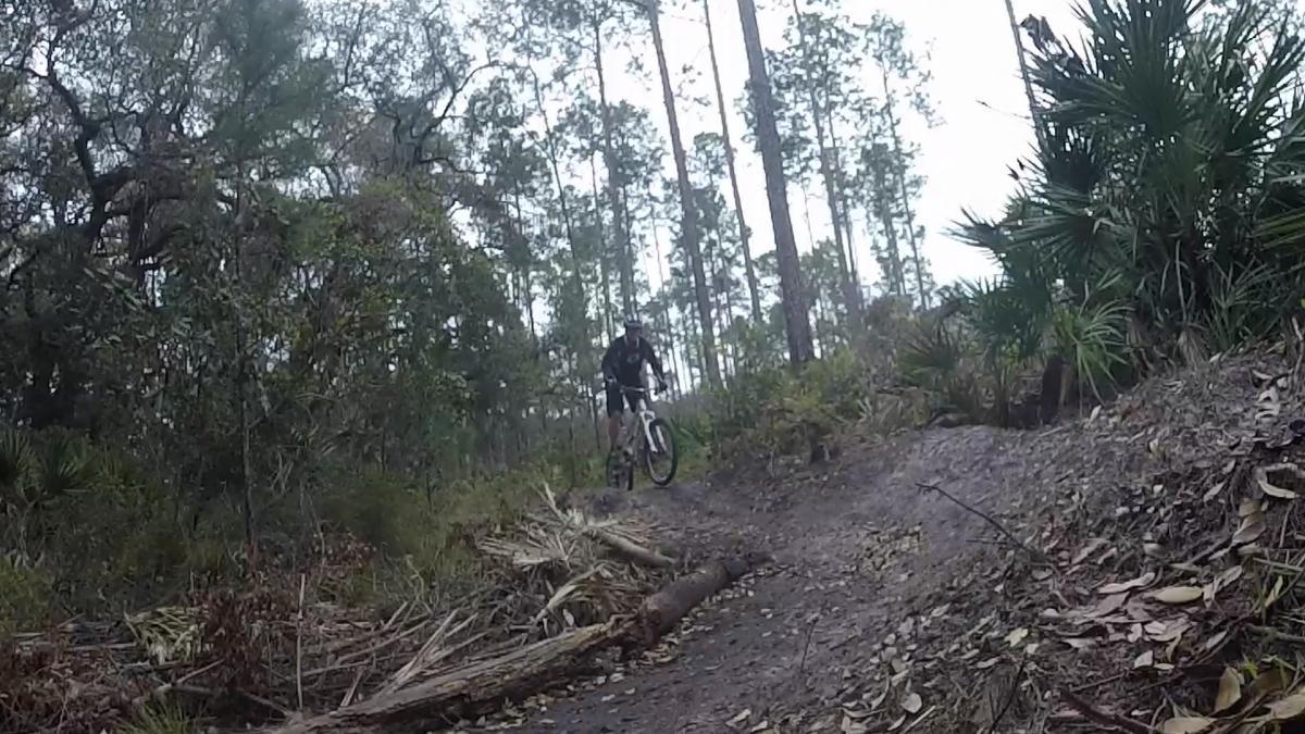 A mountain biker descends a narrow trail in a wooded area, surrounded by tall trees and underbrush. The cyclist is wearing a helmet and a black jacket, with the bike's front wheel lifted slightly off the ground as they navigate the terrain. The scene is set in a natural environment, showcasing a mix of greenery and fallen leaves. Nocatee mountain bike trail.