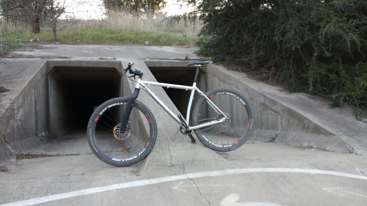 On-One Scandal 29er Vertical Dropouts: A mountain bike rests on a concrete surface next to two dark, rectangular drainage openings, surrounded by overgrown grass and trees.