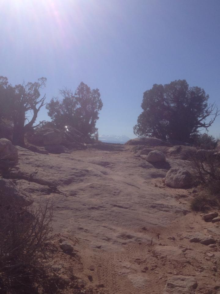 A sunlit rocky path framed by trees, leading to a distant view of mountains under a clear blue sky. The landscape features sandy terrain and scattered rocks, creating a natural, rugged atmosphere. Porcupine Rim mountain bike trail.