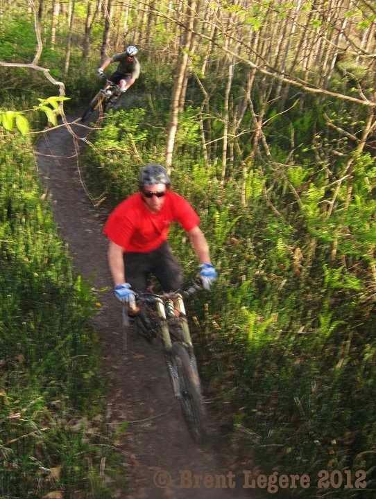 Two mountain bikers riding on a narrow dirt trail through a lush green forest. The rider in the foreground is wearing a red shirt and blue gloves, while the second rider in the background is dressed in black. Sunlight filters through the trees, illuminating the scene.