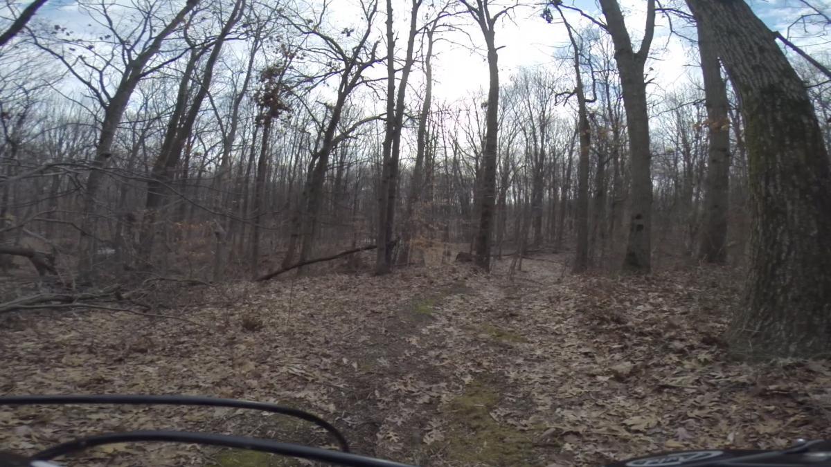 A narrow dirt trail winding through a wooded area with tall, bare trees in late autumn. The ground is covered with fallen leaves, and the sky is slightly overcast, suggesting a cool, serene atmosphere. A glimpse of green moss can be seen along the path. Arbutus Woods mountain bike trail.