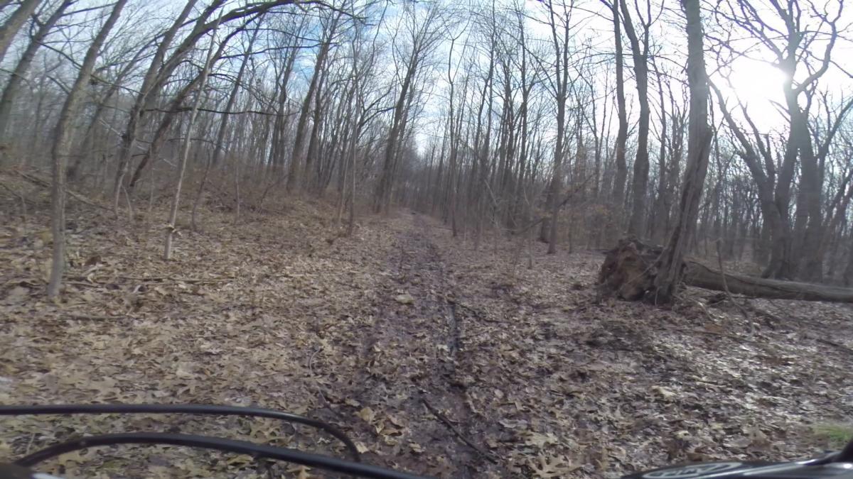 A narrow dirt trail through a forest, covered with fallen leaves and muddy patches. The scene is surrounded by tall, bare trees and a cloudy sky, creating a peaceful yet rugged outdoor atmosphere. Arbutus Woods mountain bike trail.