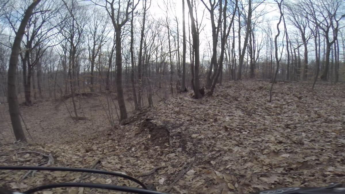 A wooded area with bare trees and a carpet of fallen leaves, under a cloudy sky. The terrain appears uneven, with a slight elevation and an incline in the foreground. Arbutus Woods mountain bike trail.