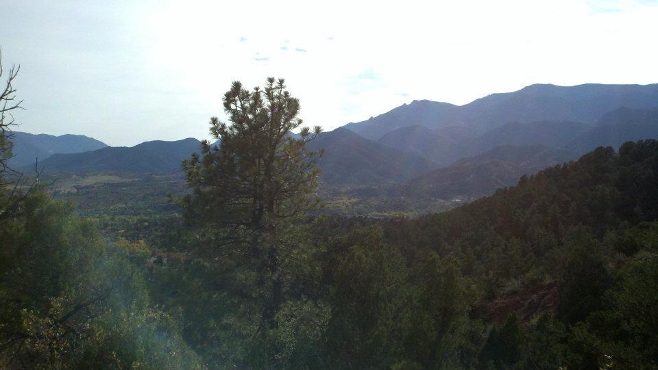 A scenic view of mountains in the distance, partially shrouded in mist, surrounded by pine trees and lush greenery in the foreground, under a light gray sky. Waldo Canyon mountain bike trail.