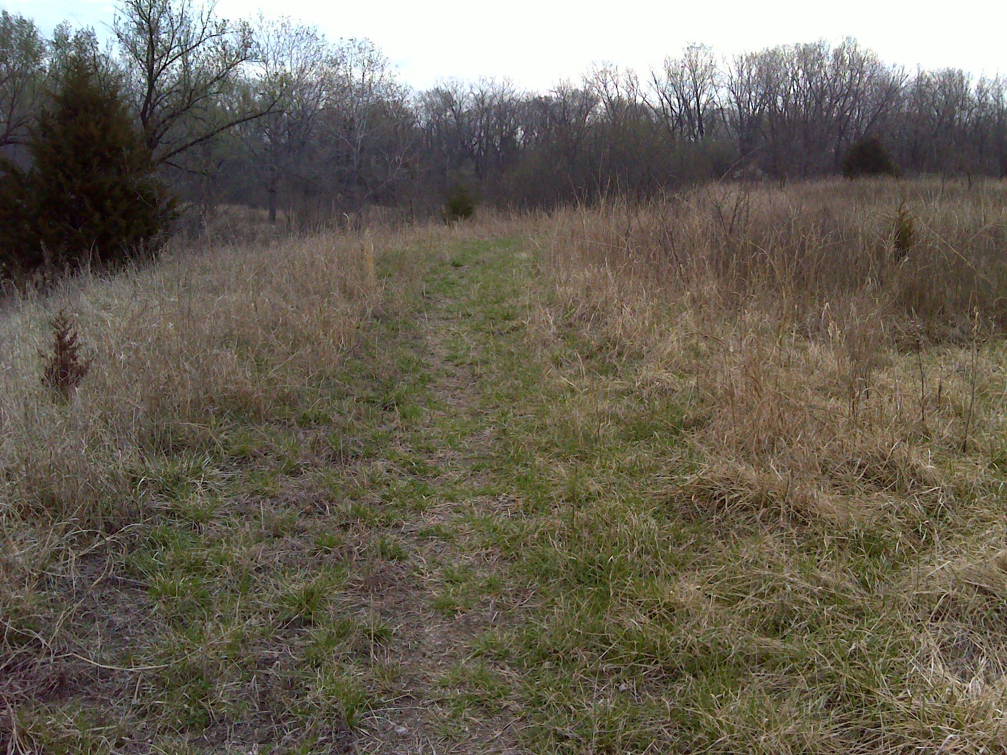 A narrow, winding path through a grassy field, flanked by tall, golden grass and sparse trees. The scene is set in a natural, rural landscape with a cloudy sky above, suggesting a serene outdoor environment. Eagle Rock Mountain Bike Trail mountain bike trail.