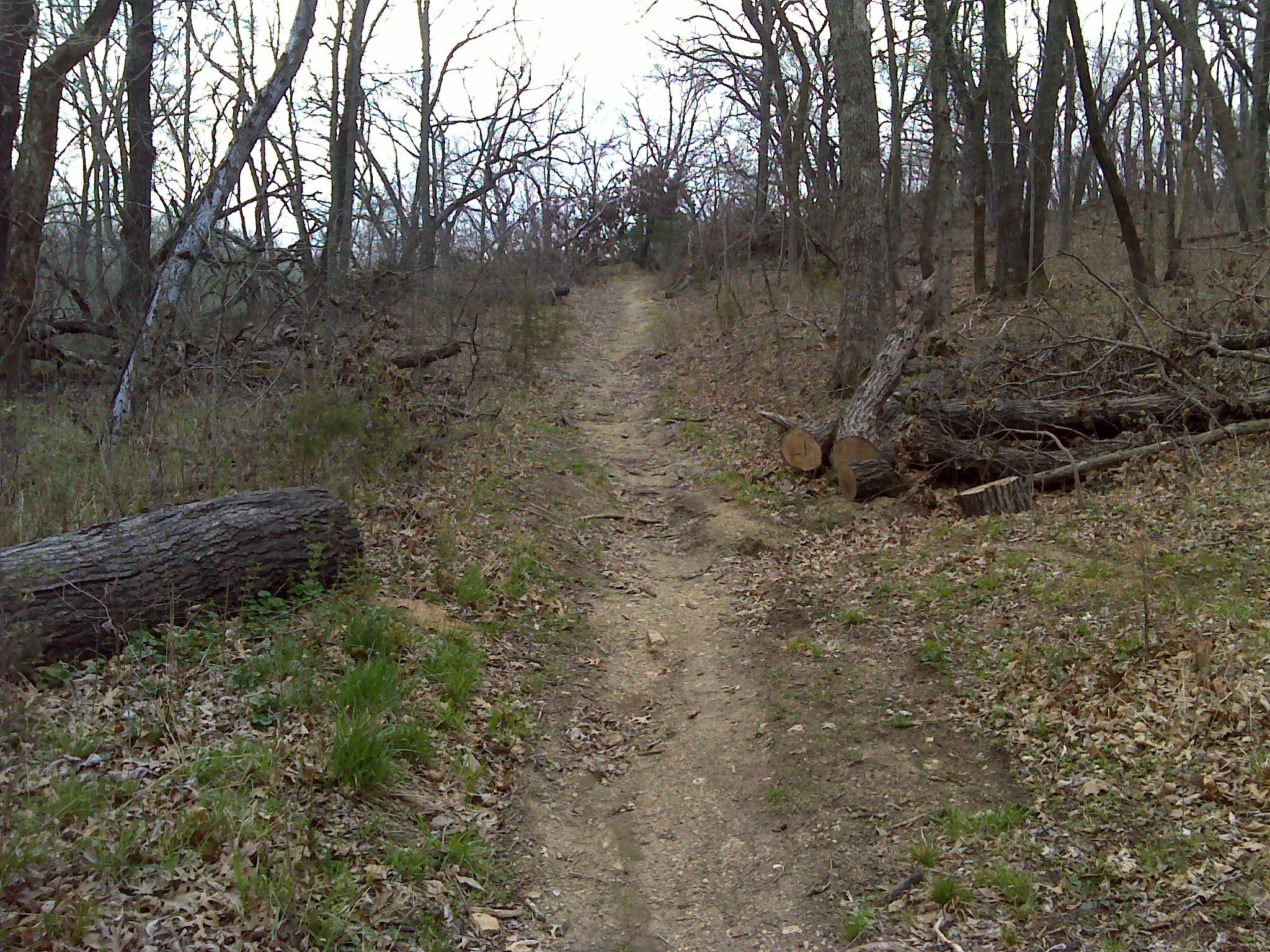 A dirt path winding through a wooded area, bordered by fallen logs and leaf-covered ground. The trees are bare, suggesting an early spring or late autumn setting, with sparse underbrush and a clear trail leading into the distance. Eagle Rock Mountain Bike Trail mountain bike trail.