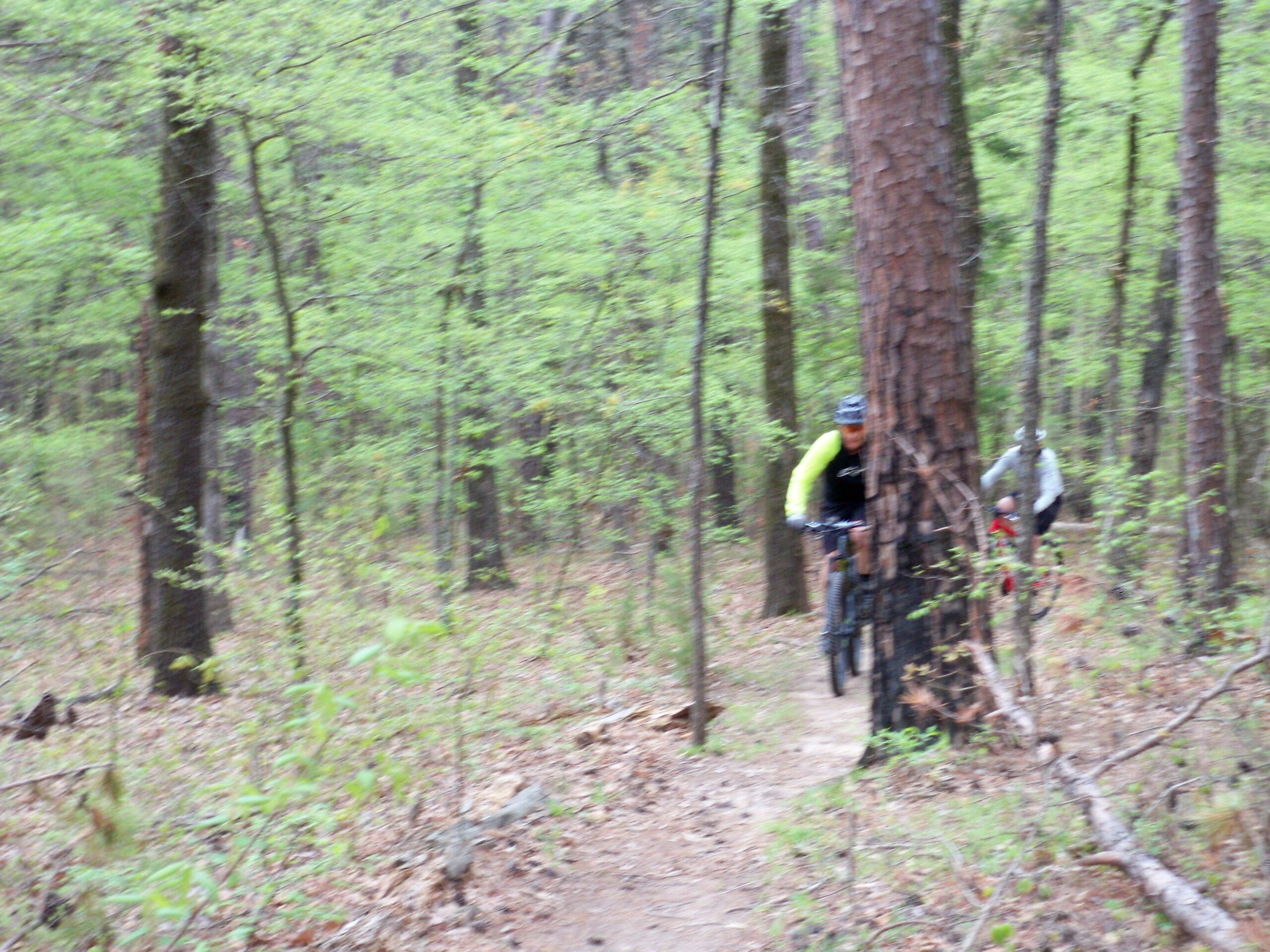 Two mountain bikers navigate a narrow trail through a dense forest, with vibrant green foliage and tall trees surrounding them. The image appears slightly out of focus, capturing the motion of one rider in a yellow and black outfit and another in a light jacket, emphasizing the outdoor adventure. Barber Hills Trail at Pat Mayse Lake mountain bike trail.