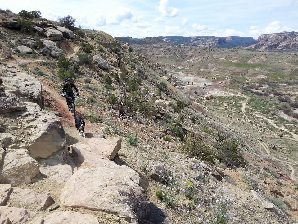 A mountain biker rides along a rocky trail, accompanied by a dog, in a scenic landscape featuring hills and sparse vegetation. The sky is partly cloudy, highlighting the natural beauty of the area. Lunch Loops mountain bike trail.