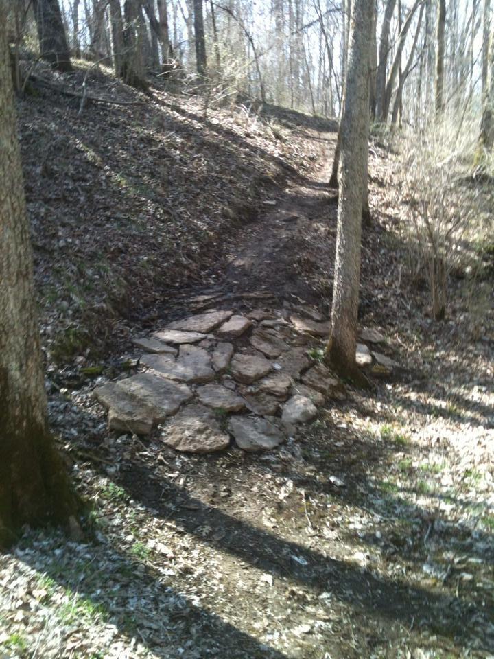 A narrow dirt path winding through a wooded area, featuring a stone stepping path to aid in crossing. Sunlight filters through the trees, casting shadows on the ground, while sparse foliage covers the forest floor. Knucklehead mountain bike trail.