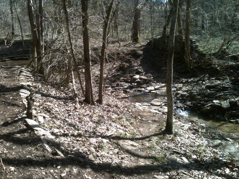A serene woodland scene featuring a narrow stream flowing beside a rocky path. Leafless trees surround the area, and the ground is covered in a mix of dirt and scattered fallen leaves, indicating early spring or late fall. Knucklehead mountain bike trail.