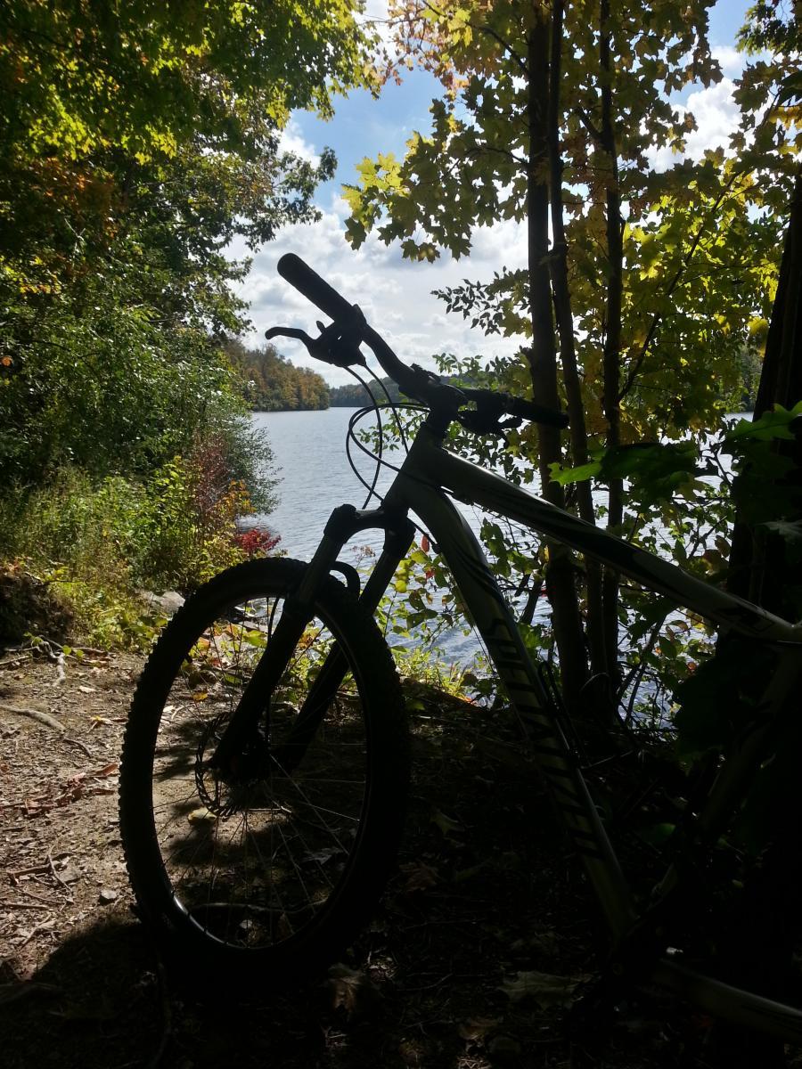 A mountain bike leaning against a tree, with a serene lake visible in the background. Sunlight filters through the leaves, creating a peaceful outdoor scene surrounded by colorful foliage. Nockamixon State Park mountain bike trail.