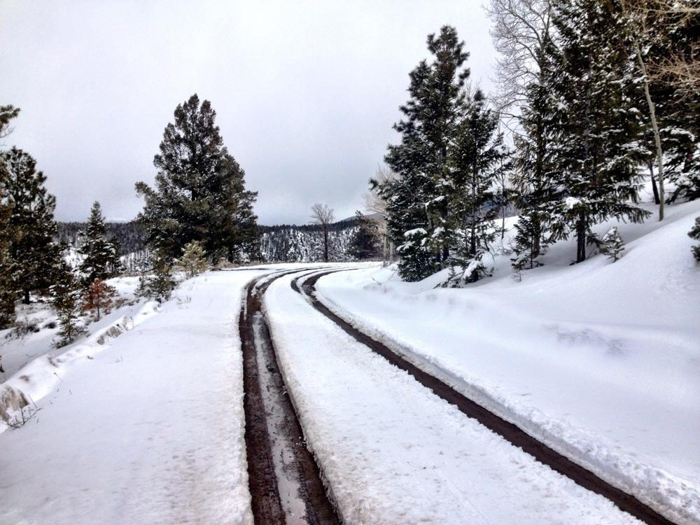 A snow-covered forest road winding through tall pine trees under a cloudy sky. The path shows tire tracks, indicating recent passage, while snow blankets the surrounding landscape. Marshall Pass Road / #200 / #203 / #243 mountain bike trail.