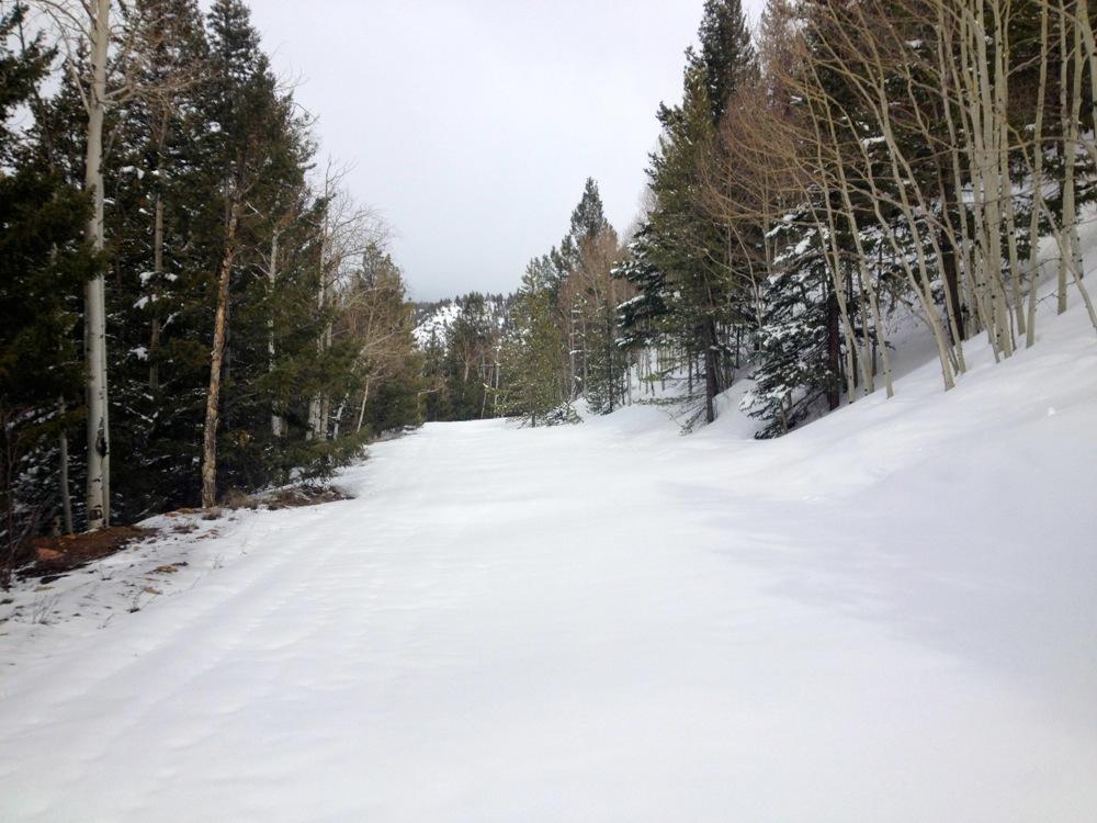 A snow-covered trail winding through a forest of tall coniferous trees and bare aspen trees, under a cloudy sky. The landscape is serene and peaceful, with a blanket of fresh snow covering the ground. Marshall Pass Road / #200 / #203 / #243 mountain bike trail.