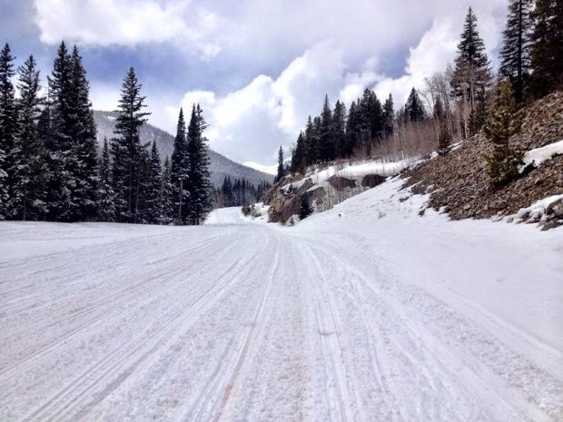A snow-covered landscape featuring a winding path among tall evergreen trees, under a partly cloudy sky. The scene conveys a serene winter atmosphere, with fresh snow blanketing the ground and hints of mountains in the distance. Cottonwood Pass Road mountain bike trail.