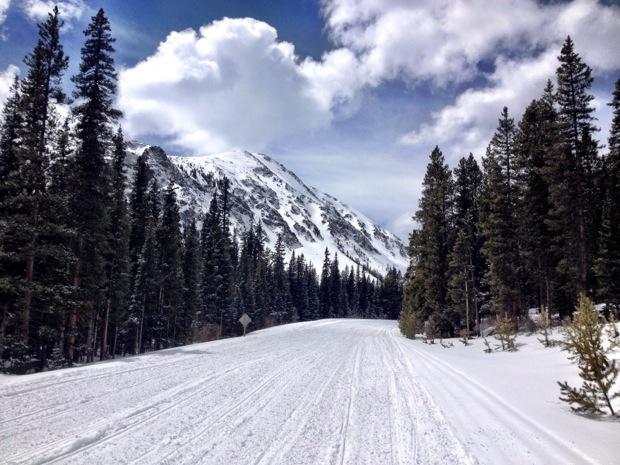 Snow-covered road surrounded by tall pine trees, leading towards a distant mountain range under a partially cloudy sky. Cottonwood Pass Road mountain bike trail.