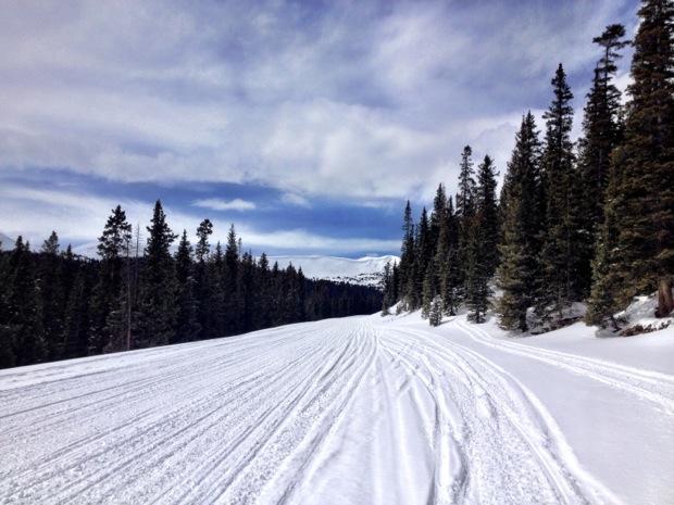 A serene winter landscape featuring a snow-covered trail lined with tall evergreen trees. The path shows ski or sled tracks, leading into the distance where the snowy mountains are visible under a partly cloudy sky. Cottonwood Pass Road mountain bike trail.