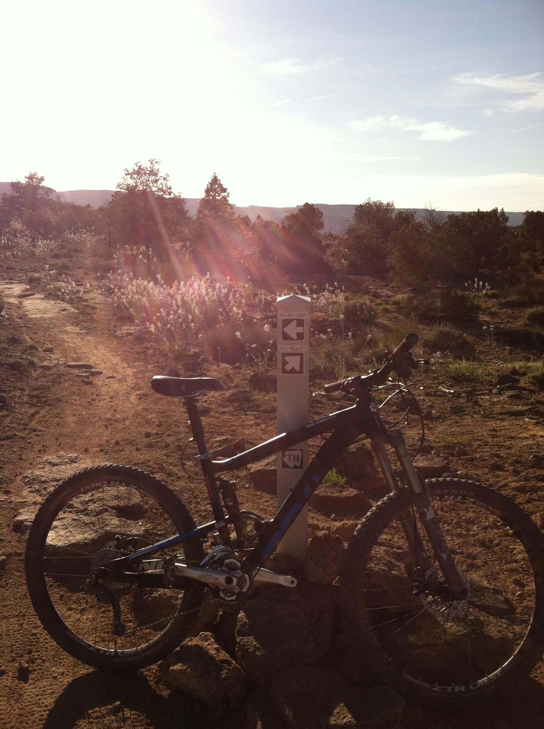 A mountain bike resting on a rocky trail beside a directional sign indicating nearby bike paths, with sunlight illuminating the scene and wildflowers in the background. Lunch Loops mountain bike trail.