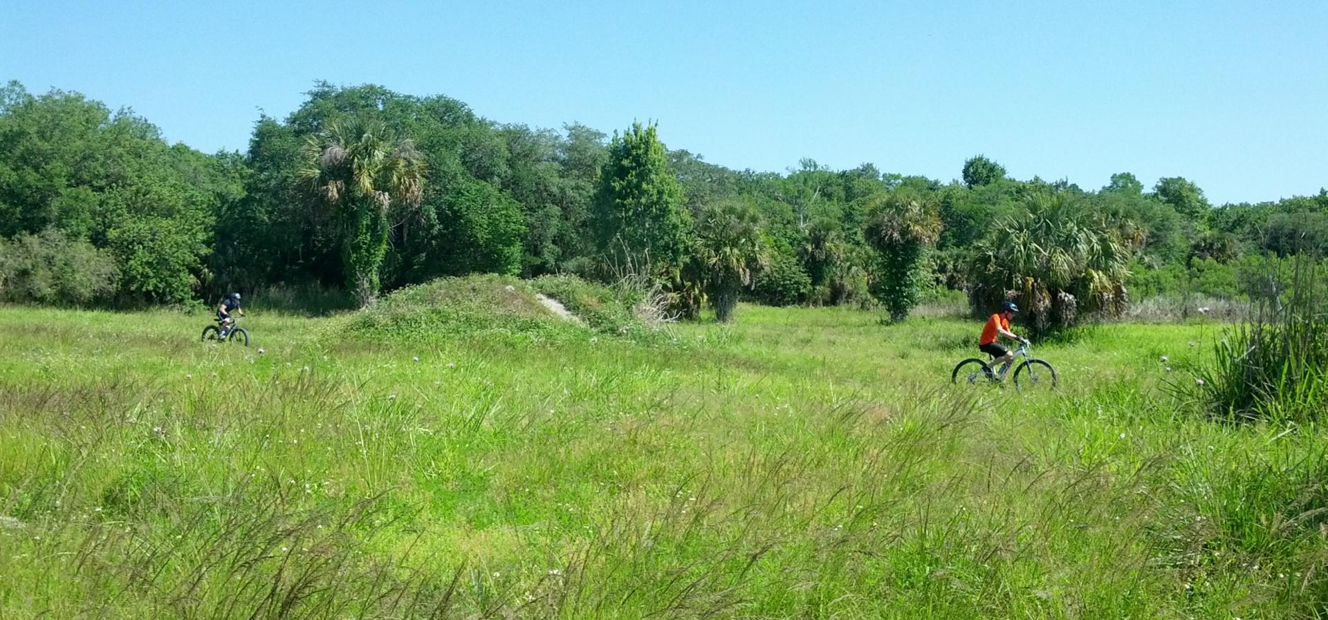 Two individuals riding bicycles through a grassy field surrounded by trees and palm plants under a clear blue sky. Caloosahatchee Regional Park mountain bike trail.