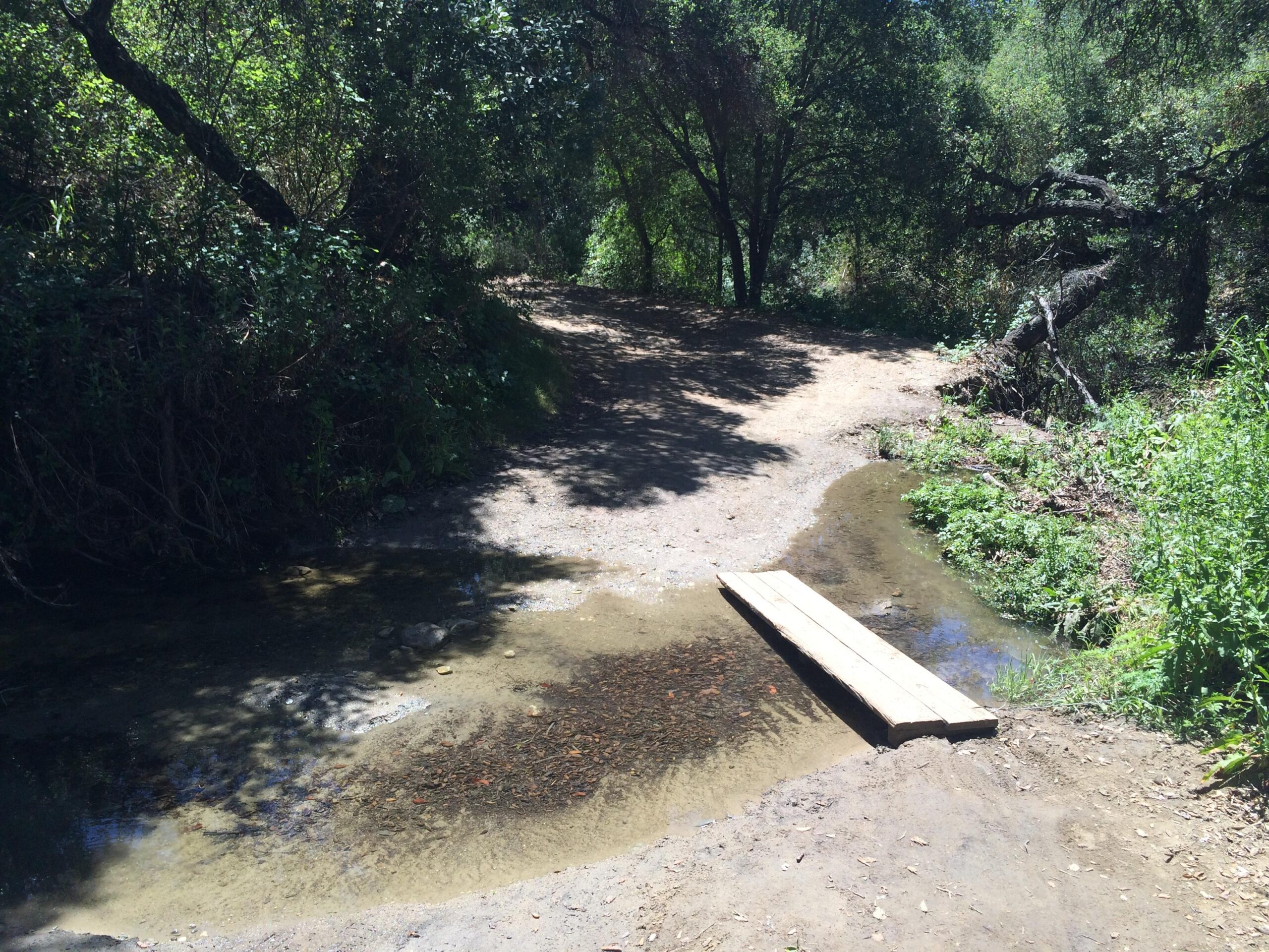 A dirt path crossing a small stream, with a wooden bridge made of planks. Surrounding the area are lush green trees and underbrush, creating a natural and serene environment. Sunlight filters through the foliage, casting dappled shadows on the ground. Wood Canyon Trail mountain bike trail.