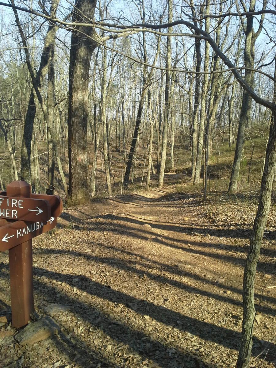 A dirt path winding through a wooded area, with bare trees and fallen leaves. A wooden signpost is visible on the left, indicating directions to "Fire Tower" and "Kanuga." The scene is illuminated by soft sunlight, creating gentle shadows on the ground. Paris Mountain State Park mountain bike trail.