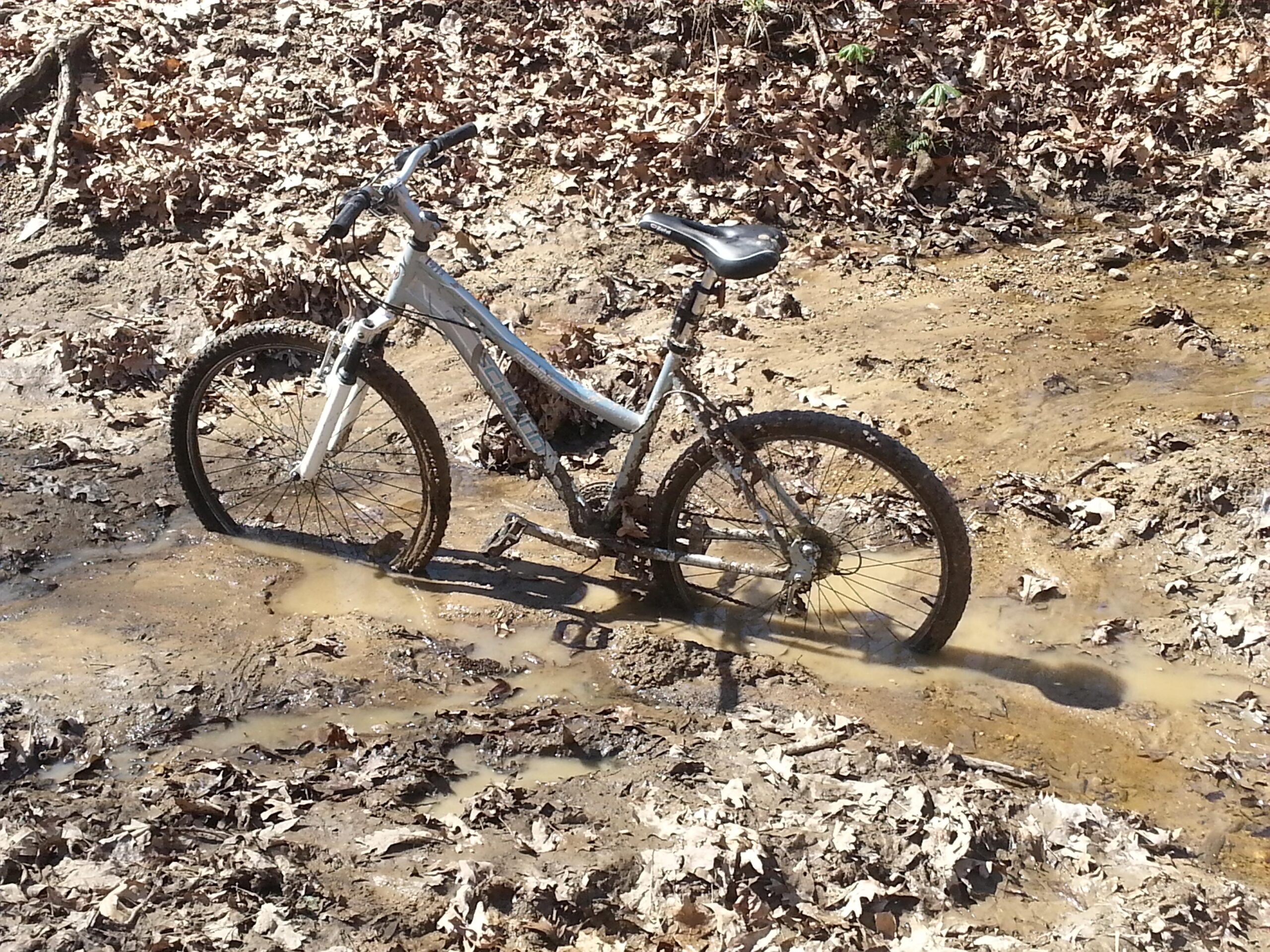 A mountain bike partially submerged in muddy water, surrounded by fallen leaves and dry dirt. The bike is covered in mud, suggesting it has been used in an off-road environment. Stage Coach Access mountain bike trail.