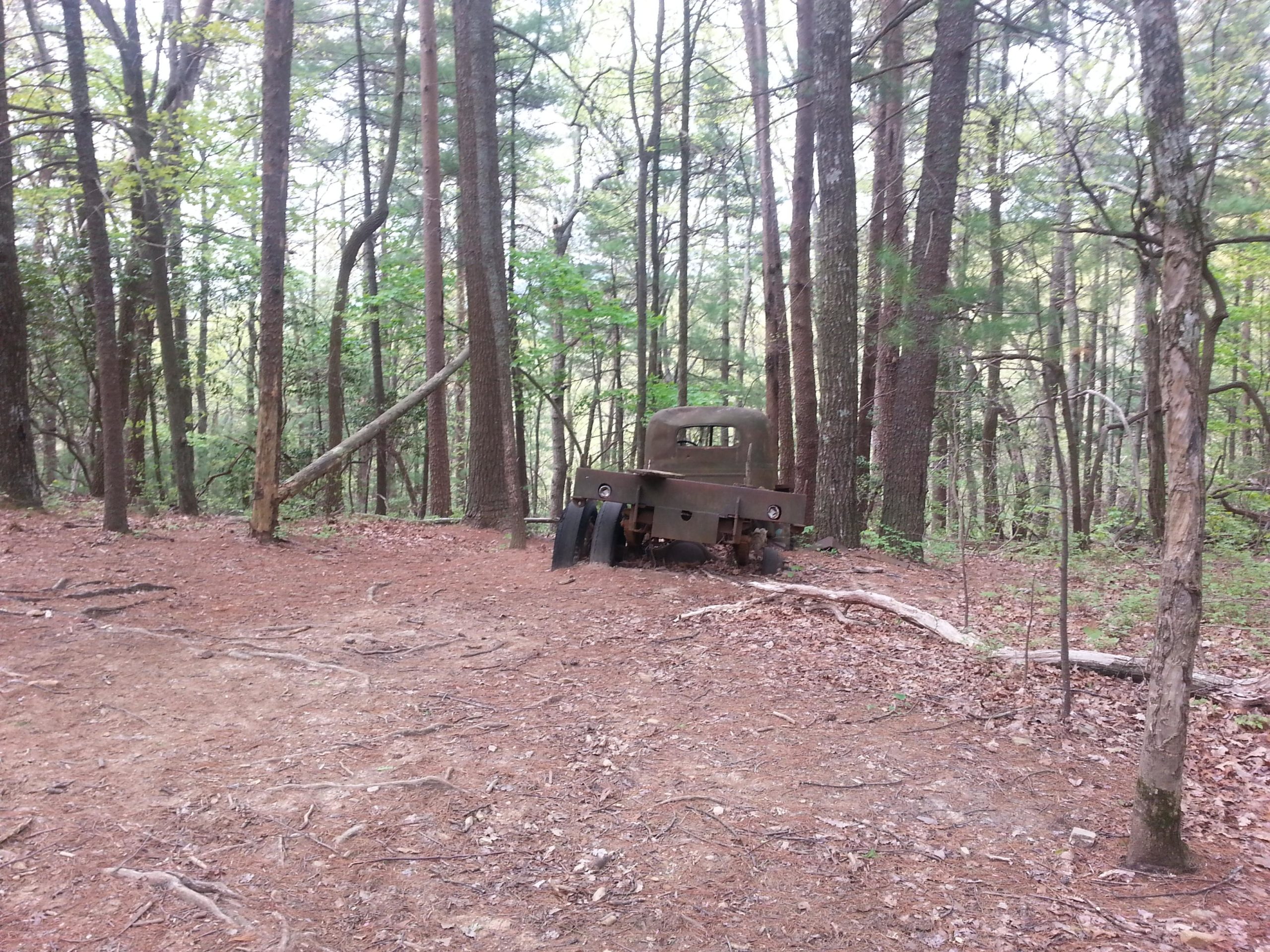 Alt text: An old, abandoned truck partially obscured by trees in a wooded area, with pine trees and scattered leaves on the forest floor. Bull Mountain / 223 mountain bike trail.