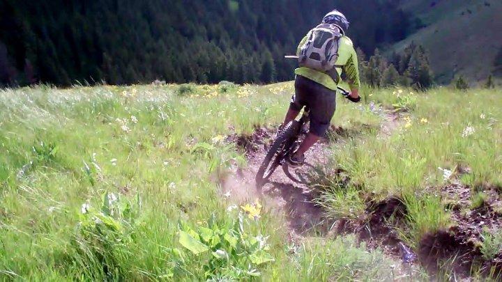 A mountain biker wearing a bright yellow jacket descends a grassy trail surrounded by green vegetation and wildflowers, with trees visible in the background. Dust rises from the bike's tires as it navigates the uneven terrain. Trail Gulch Shuttle mountain bike trail.