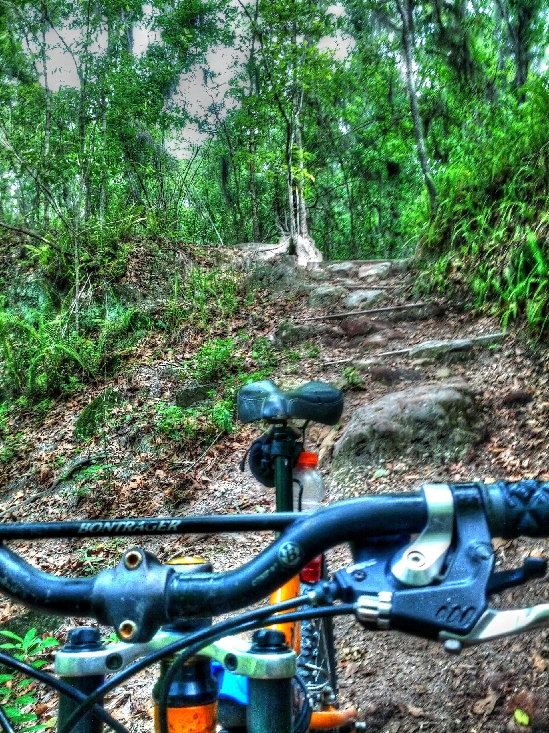 A close-up view of a mountain bike's handlebars and seat, positioned on a dirt trail surrounded by lush greenery. The path ahead leads uphill, with rocky terrain and dense foliage on either side. A water bottle is visible on the bike frame. Alafia River State Park mountain bike trail.