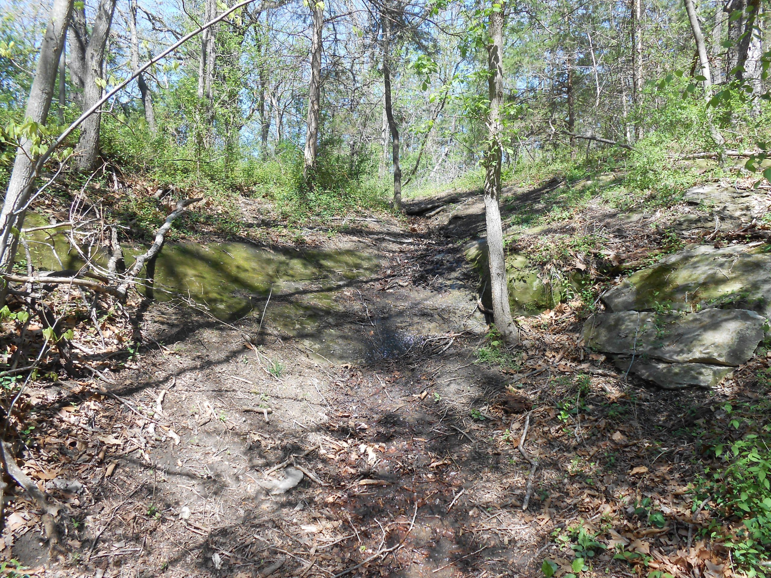 A narrow dirt path running through a wooded area, flanked by trees and rocky outcroppings. The ground is uneven and partially covered with fallen leaves and small plants, under a clear blue sky. Sunlight filters through the tree canopy, creating dappled shadows on the path. Postlethwaite Park trail mountain bike trail.