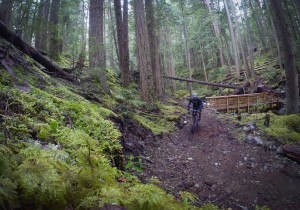A mountain biker riding along a narrow dirt trail surrounded by tall trees and lush greenery in a forested area. A wooden structure is visible in the background, partially obscured by the dense foliage. The scene captures the essence of outdoor adventure in nature.