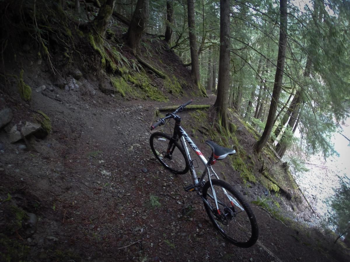 A mountain bike resting on a narrow, rugged trail surrounded by tall trees and mossy ground. The path appears to weave through a serene forest setting, with hints of natural sunlight filtering through the foliage. Skookum Flats mountain bike trail.