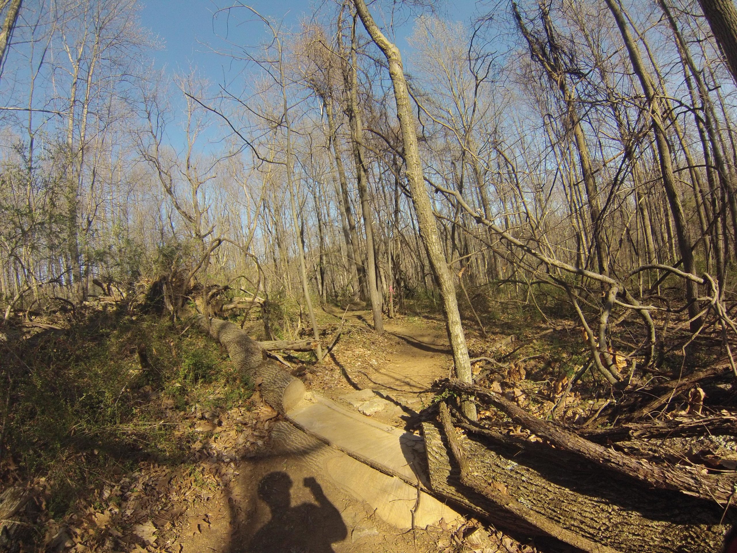 A forested path with fallen trees and bare branches under a clear blue sky. The ground is covered in fallen leaves, and a wooden plank bridge spans a small area of the path. A shadow of a person is visible in the foreground. Nassau Trails mountain bike trail.