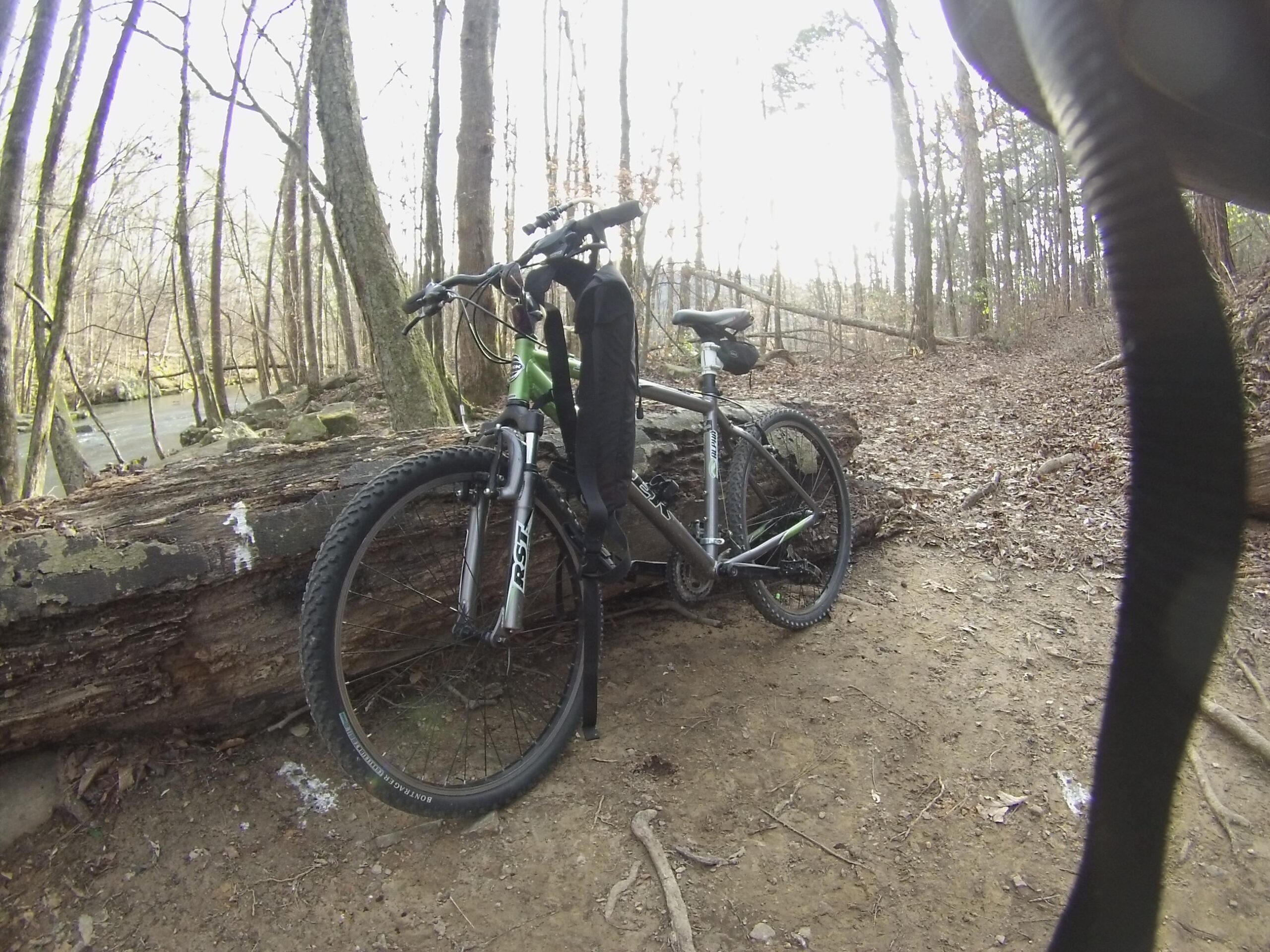 Trek 3700: A mountain bike resting against a fallen log in a wooded area, with trees in the background and a visible trail. The scene is serene, showcasing nature's beauty.