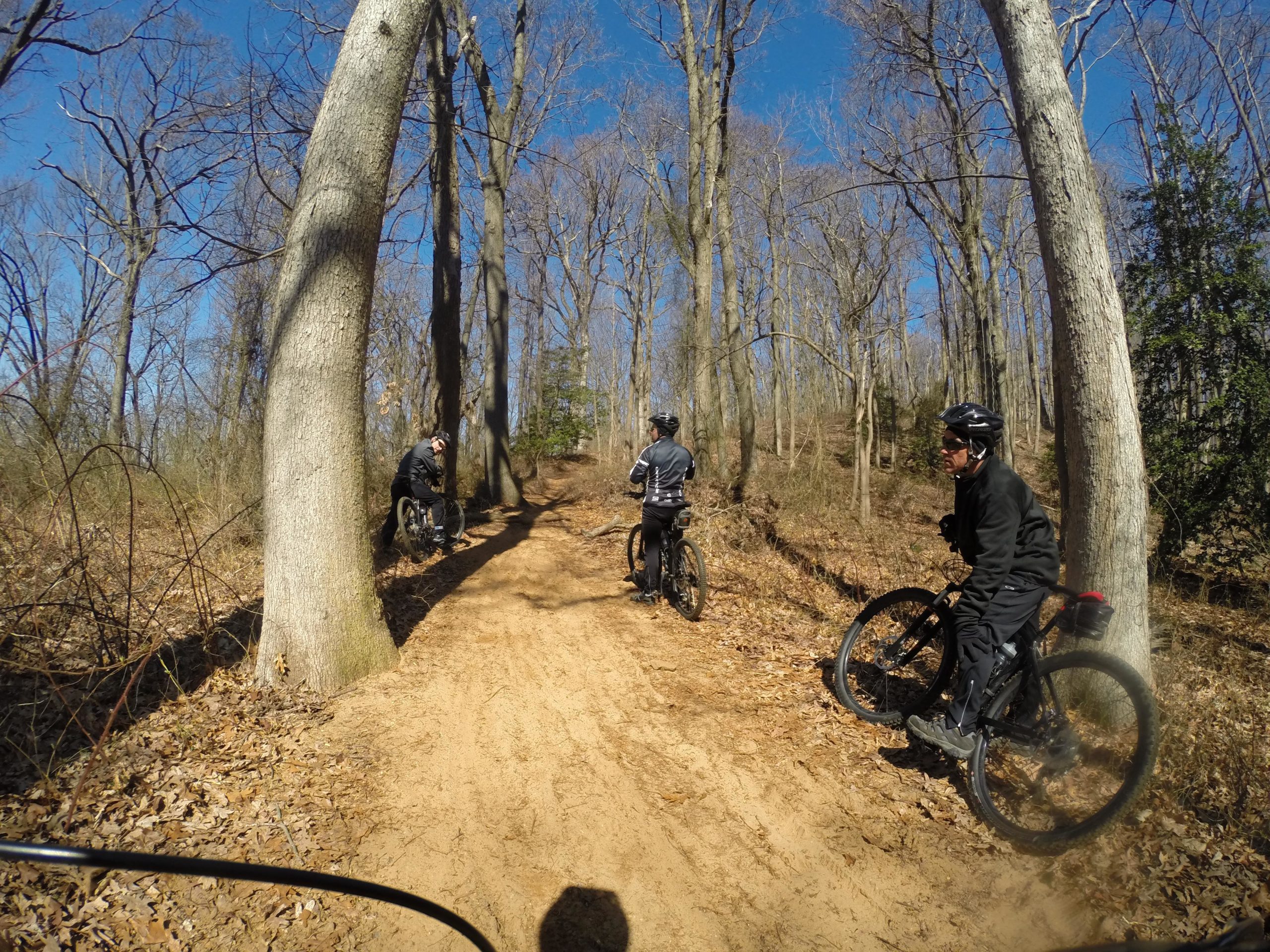 Three mountain bikers pause on a dirt trail surrounded by bare trees in a wooded area, under a clear blue sky. The trail is sandy, and fallen leaves are scattered along the ground. One biker is crouched next to their bike, while the others stand nearby. Hartshorne Woods Park mountain bike trail.