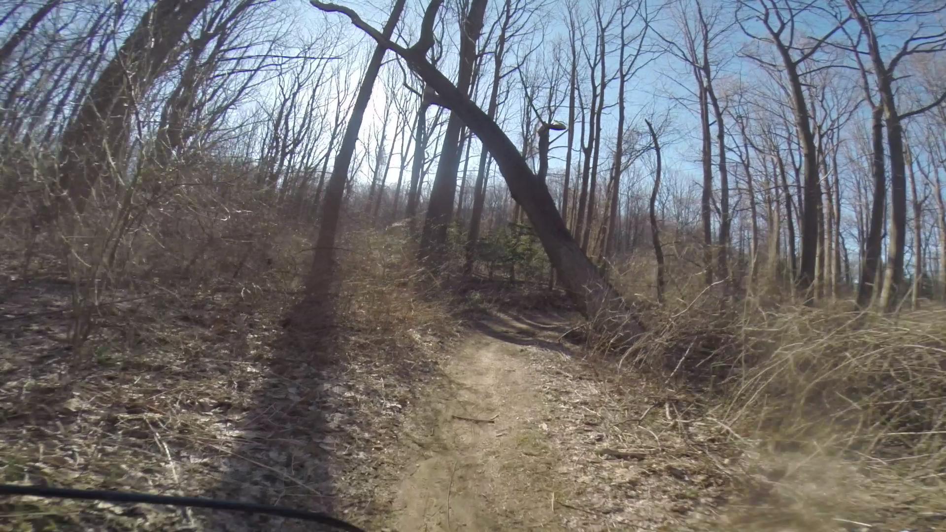 A dirt path winding through a wooded area with bare trees, under a clear blue sky. Sunlight filters through the branches, illuminating the path that is flanked by sparse vegetation and fallen leaves. A tilted tree is visible beside the trail, contributing to the natural scenery. Hartshorne Woods Park mountain bike trail.